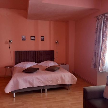 Pensiunea Vila Dana Kluž Exteriér fotografie