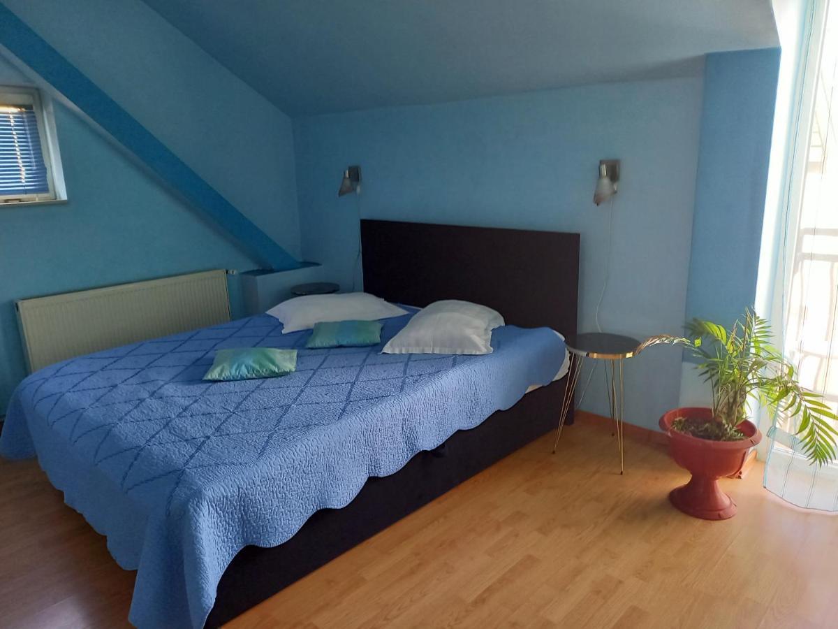 Pensiunea Vila Dana Kluž Exteriér fotografie