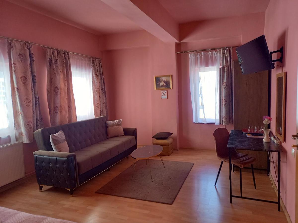 Pensiunea Vila Dana Kluž Exteriér fotografie